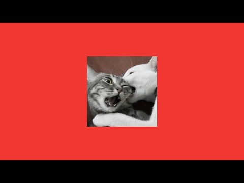 Видео: те100стерон - это не девочка, это беда (speed up)