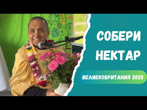 Видео: СОБЕРИ НЕКТАР