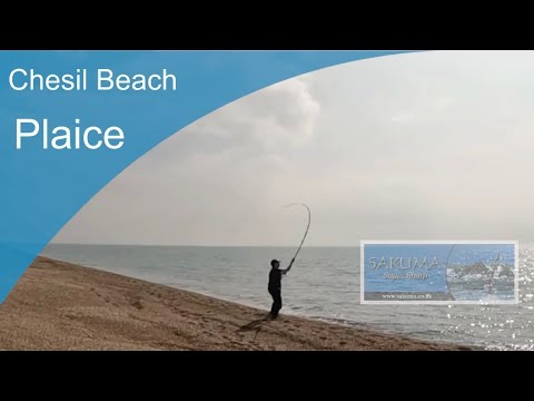 Видео: Рыбалка на флэтти-бич в Чесил-Бич