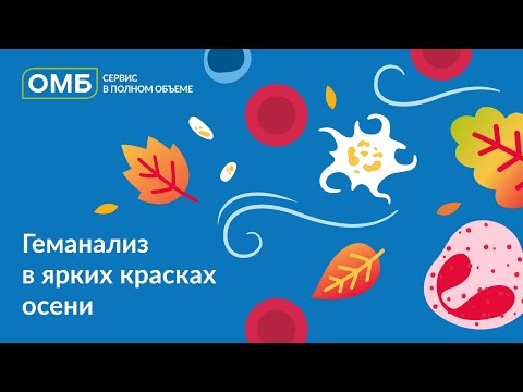 Видео: Геманализ в ярких красках осени
