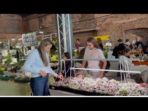 Видео: Выставка растений . Мастер-класс пересаживания сеянцев.