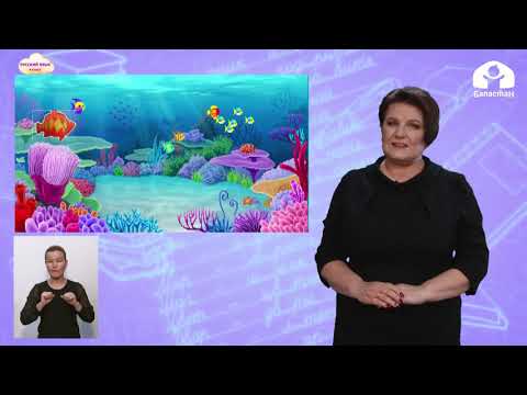 Видео: 4 класс. Русский язык /  Родительный падеж имен существительных / Телеуроки / 20.11.2020