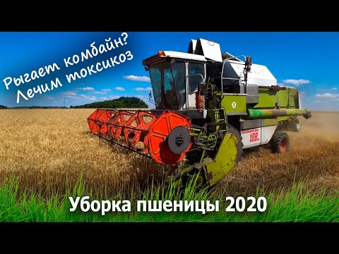 Видео: Учимся быть комбайнерами. CLAAS 108sl