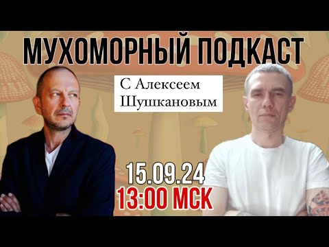 Видео: МУХОМОРНЫЙ ПОДКАСТ🍄