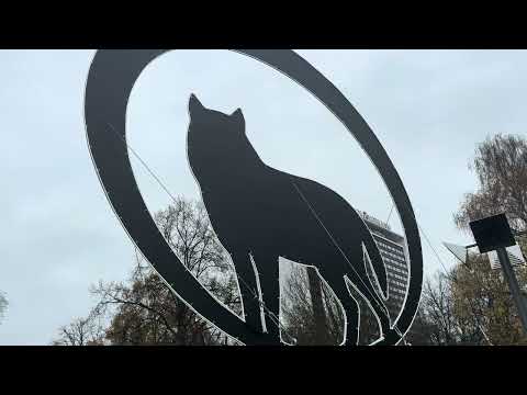 Видео: Прогулка по осеннему Таллинну 2025. От Каубамая - горка Поцелуев- Vene - Ратушная площадь