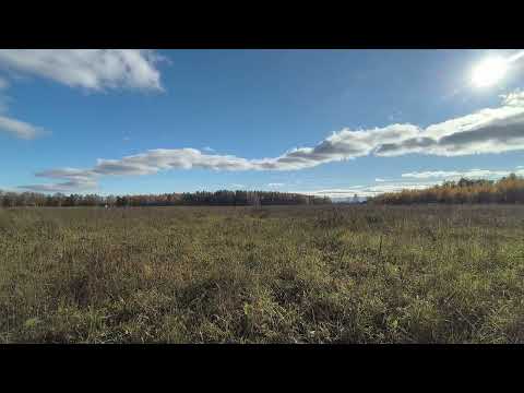 Видео: Поле. ч.1. Октябрь 2025