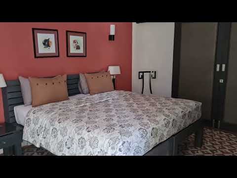 Видео: Обзор отеля.Шри-Ланка  20.01.2023г.  Отель Owl & Pussycat Hotel  5*