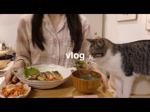 Видео: Ужин на 5 дней🍛Повседневная жизнь одинокого человека, который совмещает работу и YouTube👩🏻‍💻