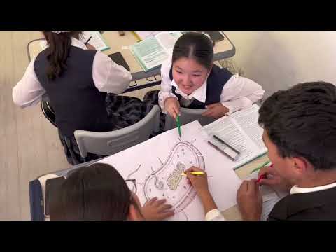 Видео: Биология. Қабылберді Л. Н