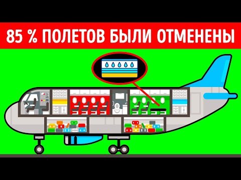 Видео: Почему авиакомпания с органической едой и водяными матрасами на борту обанкротилась