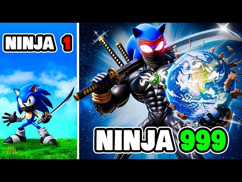 Видео: Обновление до Ninja SONIC