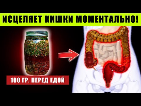 Видео: КИШКИ ЗАРАБОТАЮТ КАК В 20 ЛЕТ! Совет Врача Калопроктолога для РаботыКишечника