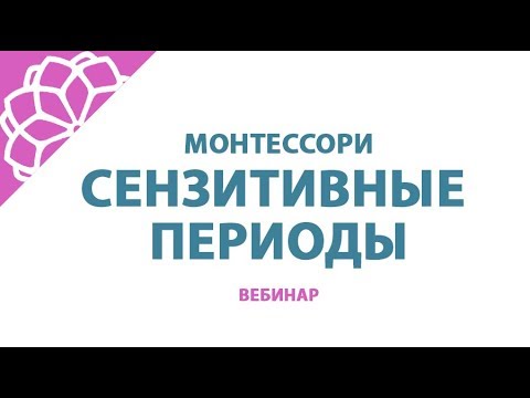Видео: Сензитивные периоды развития детей. Монтессори вебинар