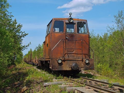 Видео: На ТУ6А-2892 с порожняком по 12-й ветке. Лойгинская УЖД