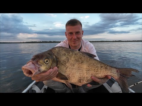 Видео: РЫБАЛКА УДАЛАСЬ! НАКОНЕЦ-ТО ЕГО ПОЙМАЛ! В ПОИСКАХ ТРОФЕЙНОГО ЛЕЩА. БОЛЬШОЙ И ЖИРНЫЙ ЛЕЩ НА ПОДПУСК.