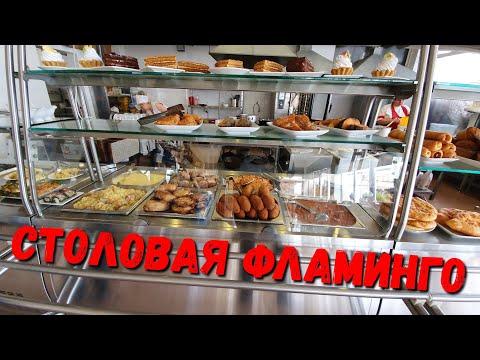 Видео: ЗАВТРАК ЗА 780Р В СОЧИ - СТОЛОВАЯ ФЛАМИНГО  ....