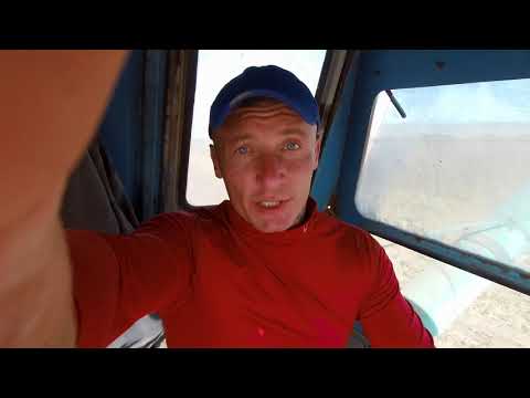 Видео: УборкА ПодсолнухА 2020 на Нива СК 5