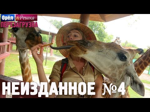 Видео: Орёл и Решка. Перезагрузка - Неизданное №4