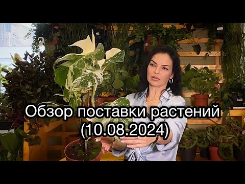 Видео: Распаковка!!!4 коробки с растениями из Голландии😉