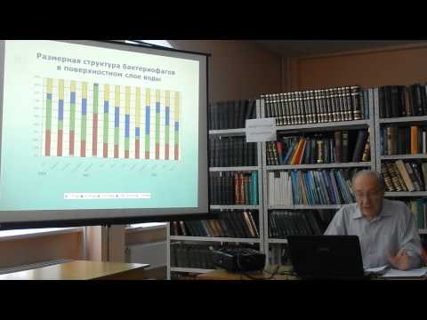 Видео: Бактериофаги в водных экосистемах – новое трофическое звено (Лимнологический институт СО РАН)