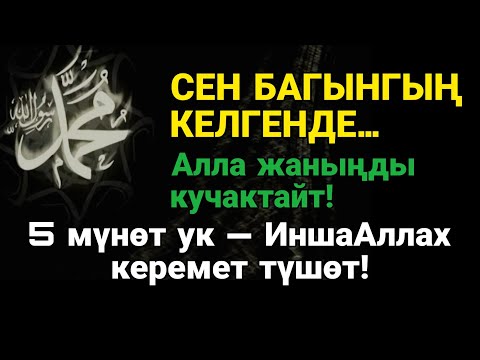 Видео: Асманды титиреткен дуба — Алла чарчаган жүрөктү тынчтандырат!