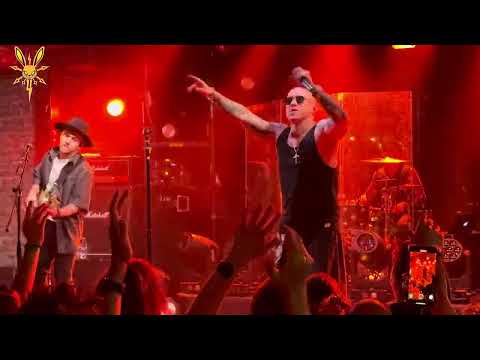 Видео: Заточка - пол это лава ( live Sherwood 06.04.2025)