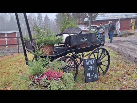 Видео: Туман Очень загадочно Неожиданно оказались в чудесном месте Приятное послевкусие проведённого дня#