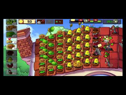 Видео: 23 сентября 2025 г.