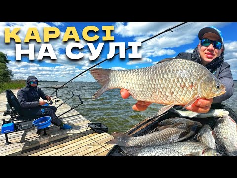 Видео: КАРАСІ КЛЮЮТЬ В ШТОРМ‼️ ФІДЕРНА РИБАЛКА 🎣 Річка СУЛА🏞️