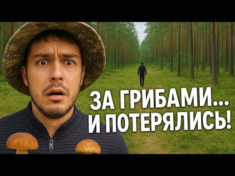 Видео: Поехали в лес за грибами. Без пауков не обошлось!