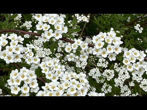 Видео: СЛОЖНОСТИ МАТЕРИНСТВА 🤱УСТАЛОСТЬ И ДЕПРЕССИЯ 😔 КОГДА СТАНЕТ ЛЕГЧЕ?? 🤷‍♀️