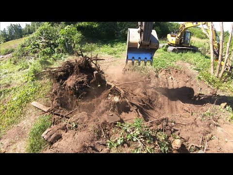 Видео: Борьба с корнями