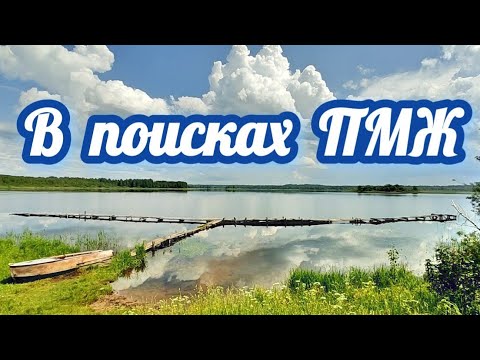 Видео: Ищу дом в деревне \\ ПОИСК ХОРОШИХ ПРЕДЛОЖЕНИЙ НЕДВИЖИМОСТИ\\ Попал под ураган !!!