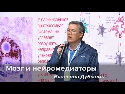 Видео: Вячеслав Дубынин – Мозг и нейромедиаторы