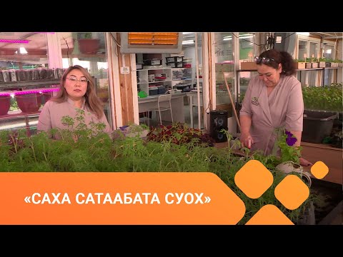 Видео: «Саха сатаабата суох» (30.04.21)