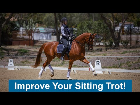 Видео: Распространенные ошибки при езде сидячей рысью