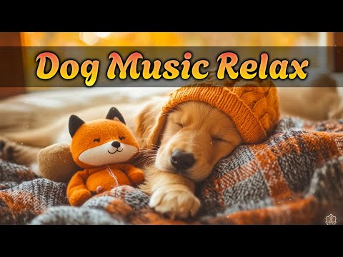 Видео: Музыка для собак 🐶 Спокойные мелодии для сна и снятия стресса | 12 часов релакса 🎶