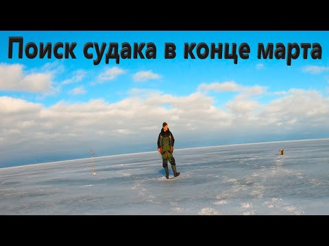 Видео: Судак на блесну в конце марта. Зимняя блесна саукка 50 мм.