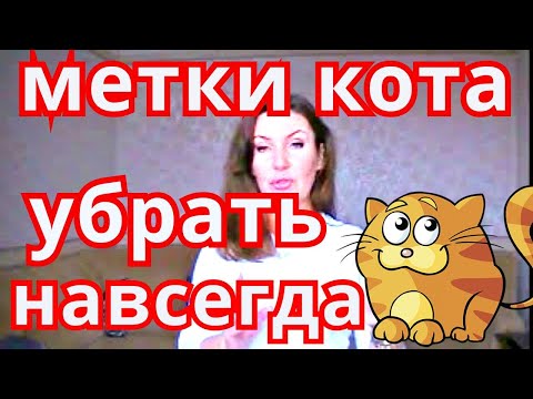 Видео: КАК НА 100%ИЗБАВИТЬСЯ ОТ МЕТОК КОТА/СОВЕТ БЫВАЛОГО