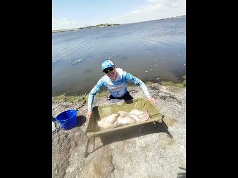 Видео: Фидер риболов на ез.Мандра (Бургас)