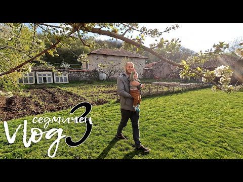 Видео: Едно семейство на село - Vlog 3 - боядисване на спалнята и разходка до битака