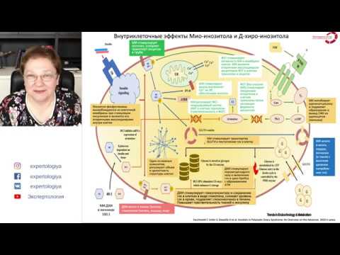 Видео: Экспертология | Применение инозитола при СПКЯ Пустотина О.А.