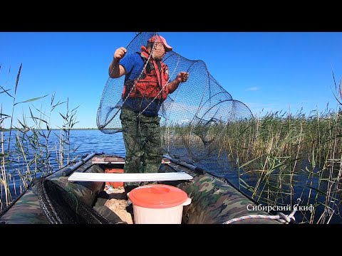 Видео: Рыбалка на МОРДУШКУ/КУБАРЬ/ВЕРШУ/Рыбалка на Болоте/Ловля Жёлтого Карася