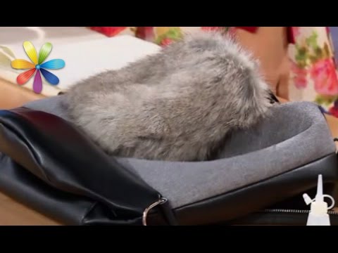 Видео: Сумка-трансформер за 100 гривен из старых вещей – Все буде добре. Выпуск 1000 от 13.04.17