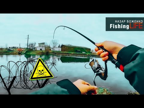 Видео: Рибалка На ТЕПЛОМУ Каналі - Рибалка На Судака І Окуня