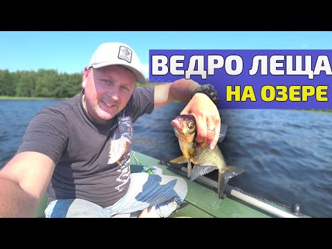 Видео: Гладышевское озеро. Ведро леща на простую бортовую удочку! Уловистая бортовая удочка Broken - tip