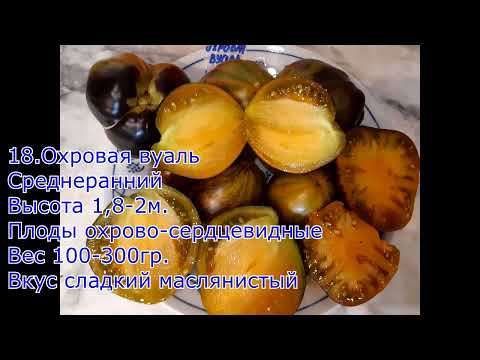 Видео: 1 часть каталога индетерминантных томатов на 2026г