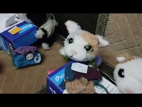 Видео: Томила в школе 4 февраля 2024 1 часть