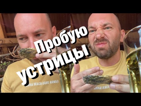 Видео: Черногория Доброта обзор номера Устричная ферма