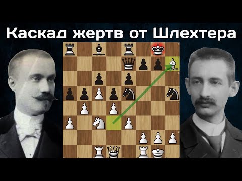 Видео: Пожертвовал СЛОНА, ЛАДЬЮ и КОНЯ! Карл Шлехтер - Георг Марко. Монте-Карло 1904. Шахматы